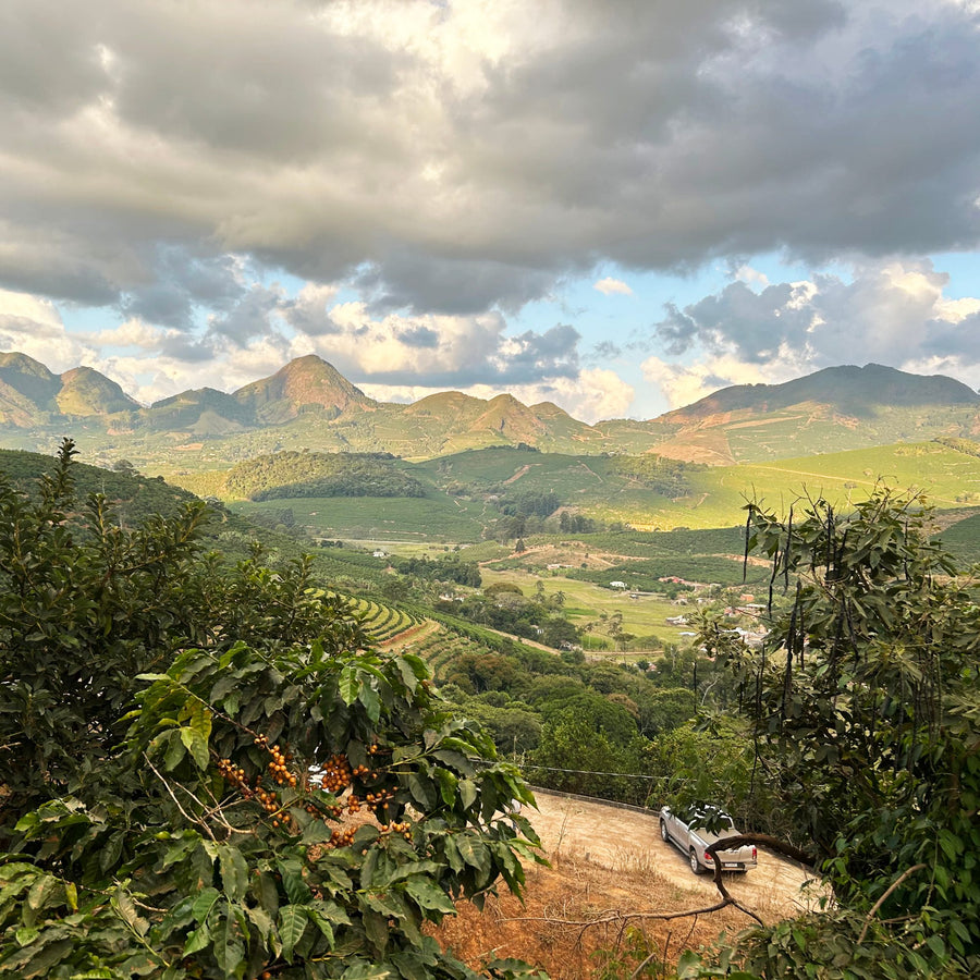 La finca
